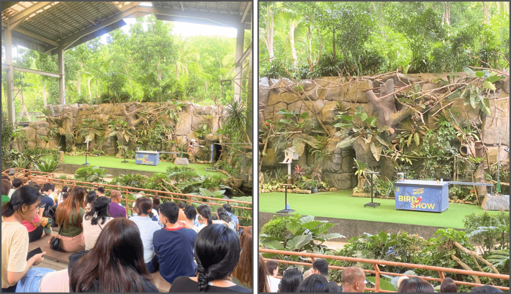 Audience watching the bird show at Cebu Safari Park in a lush, green setting